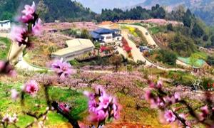  依托“五个最”绘就新图景：“长松实践”解锁乡村全面振兴密码