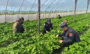 青春护农暖边疆 警民同心助春耕