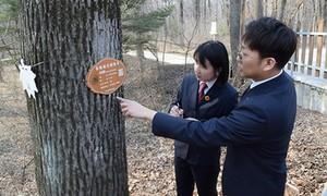 “检察蓝”传承“抗联红”守护“生态绿”