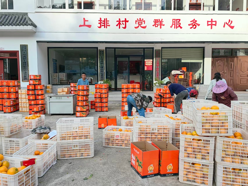 打响脐橙“销售攻坚战”.jpg
