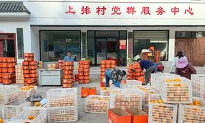 156盏路灯“点亮”乡村 一颗脐橙“甜”了民心