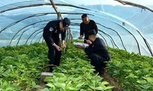 “田间警务”护航春耕生产