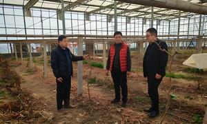 平度旅创协会：红韵赋能兴文旅 匠心筑梦促振兴