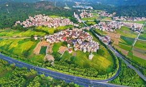 福建漳浦：党建引领聚合力 畲乡焕新惠民生