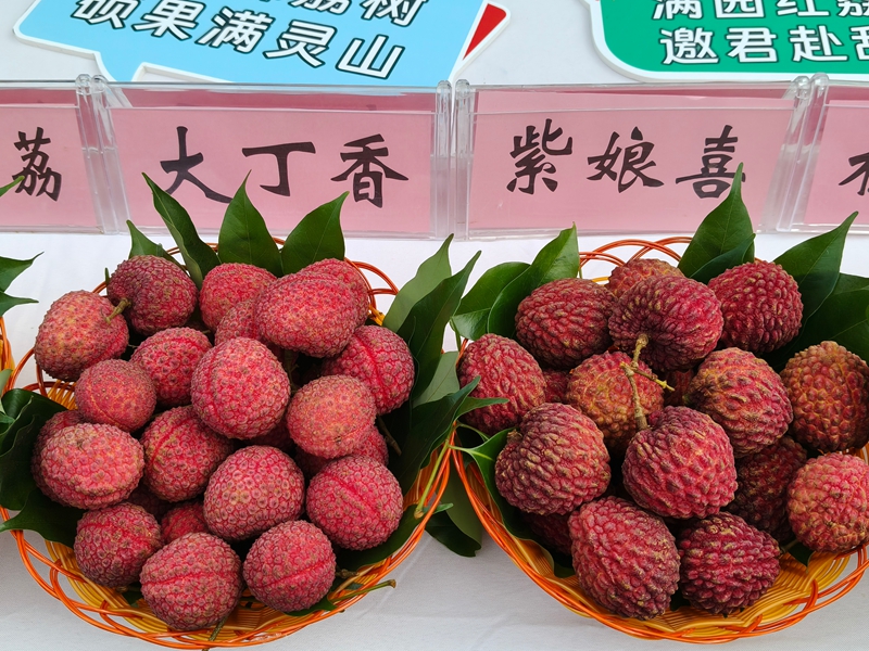 微信图片_20260613160302_50_30.jpg