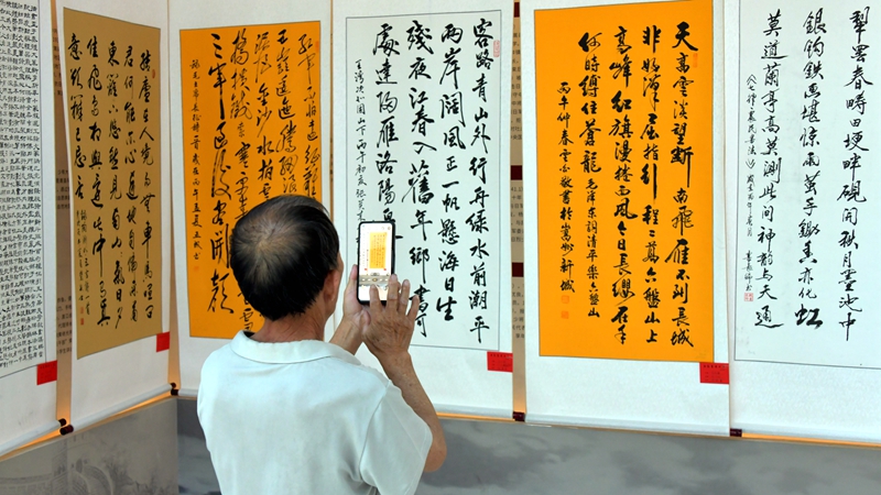 群众在欣赏书法 赵明辰摄 (2).JPG