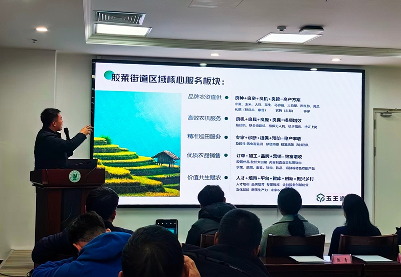 图一.jpg