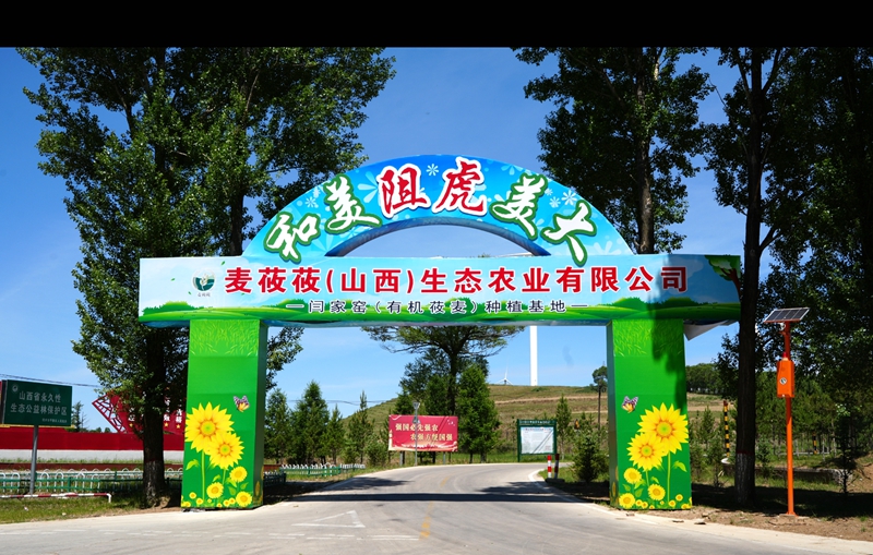 平鲁区阻虎乡闫家窑村有机莜麦种植基地.jpg