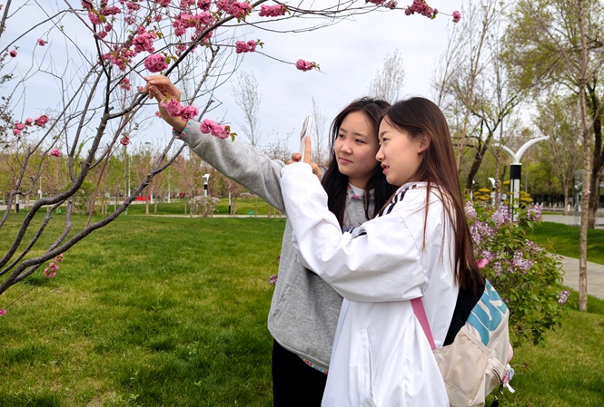 市民在五家渠体育运动公园打卡拍照。 朱小丽 杜仪 摄.jpg