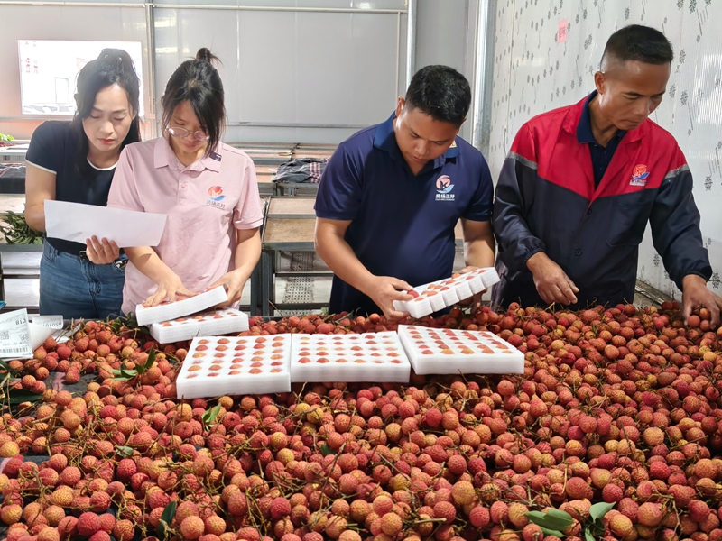 6月12日，在广西昊扬食品有限公司分拣物流中心，工人们正按订单分拣包装礼盒.jpg