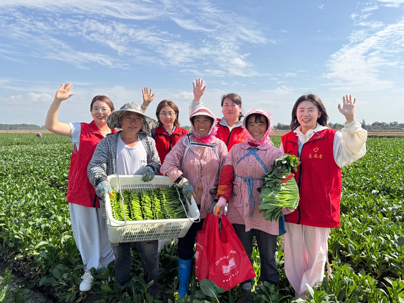2025.9.4在毛桥村菜地，瞿靖镇志愿者们为毛桥村务工人员送去暖心包，为孩子们送上画本等文具.jpg