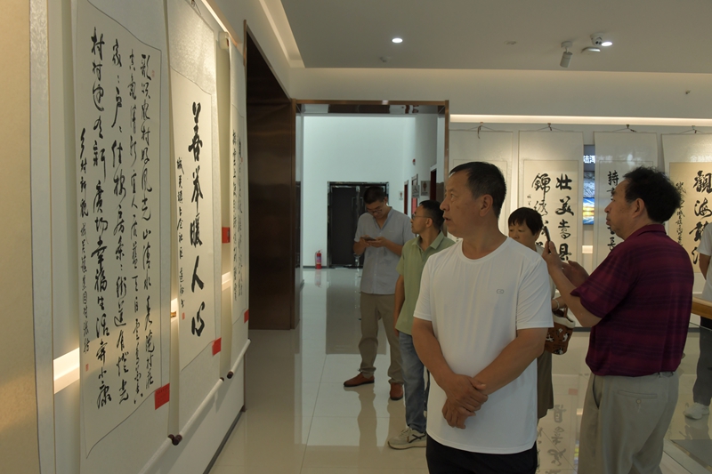 群众欣赏书法 赵明辰摄.JPG