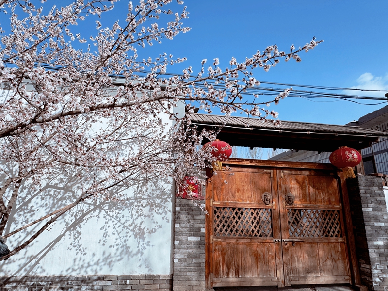 2025年4月15日,“全国文明村”红果子镇马家湾村农户家门前春日新景.jpg 2025年4月15日,“全国文明村”红果子镇马家湾村农户家门前春日新景.jpg