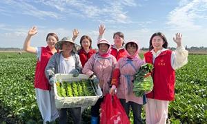 毛桥村：我在“异地”有个家