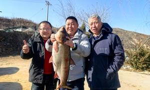 把协作“种”在泥土里 让产业“长”在田野上 
