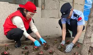 种花添绿意 党建暖民心