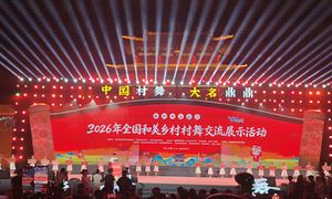 全国村舞相聚大名古城 乡土文化绘就和美乡村画卷