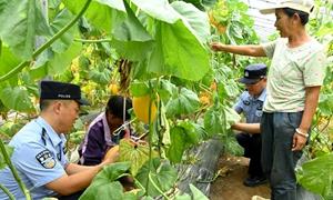 阡陌间的藏蓝守护