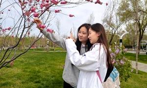 不必远行 亦有诗意 五家渠市用“松弛感”留人