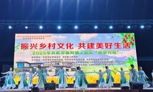 上桥村：枣林间的小院 烟火里的幸福