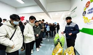 胶莱街道：创新“乡村好青年联盟”机制 激活现代农业发展新动能