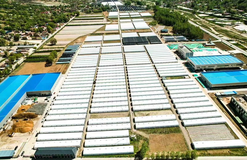 1.康乐县八松乡富康食用菌基地.jpg