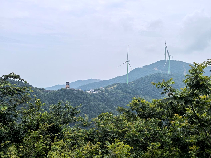大幕山樱花谷竹海.jpg
