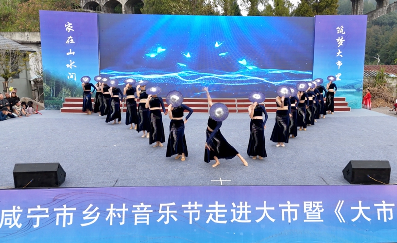 咸宁市乡村音乐节走进大市村.jpg