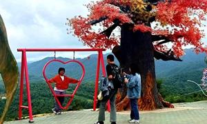 康乐县：农旅相融共生 乡村向美而行