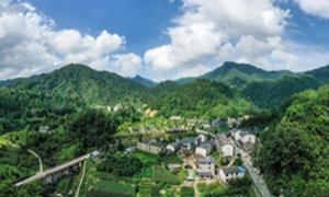 文艺之笔 描绘深山“网红村”