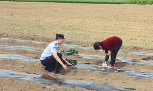 芦果边境派出所深入开展边防政策法规宣传