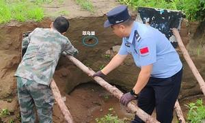 藏蓝加固翠鸟巢 生态警务护飞羽