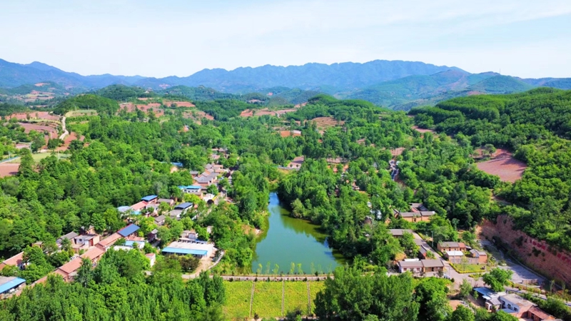 讲理村全景.jpg