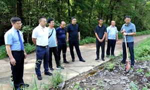红石林区：“林长+检察长”联合巡林 精准履职守护生态安全屏障