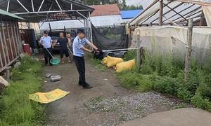 惊魂一幕！大蛇溜进农家院子“串门”，民警硬核出击当场拿下！