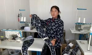 长武：小艾草大产业 助农增收共致富